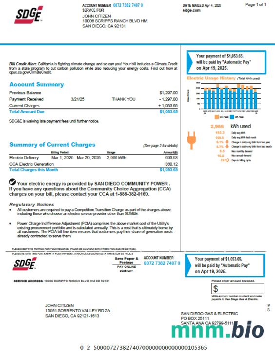 Szablon rachunku za media SDGE USA w formatach Word i PDF, Wersja 2